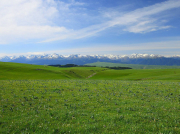 南方清水泵到底有沒有吸程？