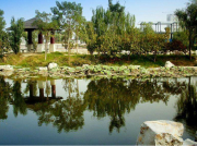 為什么現(xiàn)在南方電機(jī)比以前更容易燒壞？