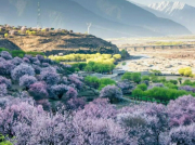 學習專業技術，完成自我超越——南方長河產品技術支持培訓圓滿完成